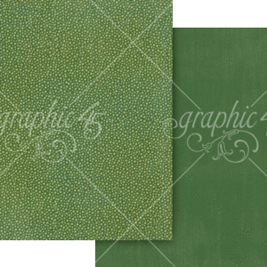 Graphic 45 Wonder of Oz 12X12 Emerald Green Pattern & Solid Sheet
