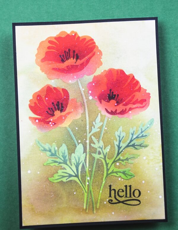 Memroy Box Stencil Playful Poppies