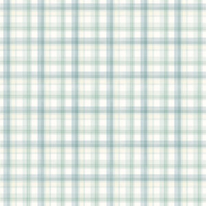 Carta Bella Little Lullbies Baby Boy 12X12 Perfect Boy Plaid