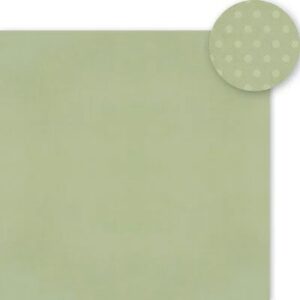 Simple Stories Color Vibe 12X12 Sage