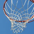 PAPER HOUSE 12X12 BASKETBALL HOOP