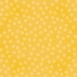 Simple Stories Say Cheese Happiest Place 12X12 Frontier