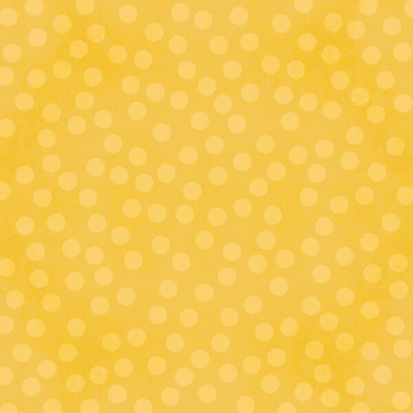 Simple Stories Say Cheese Happiest Place 12X12 Frontier
