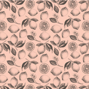 Simple Stories Pink Lemonade- 3X4 Elements