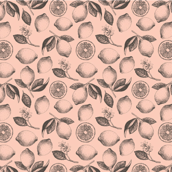 Simple Stories Pink Lemonade- 3X4 Elements