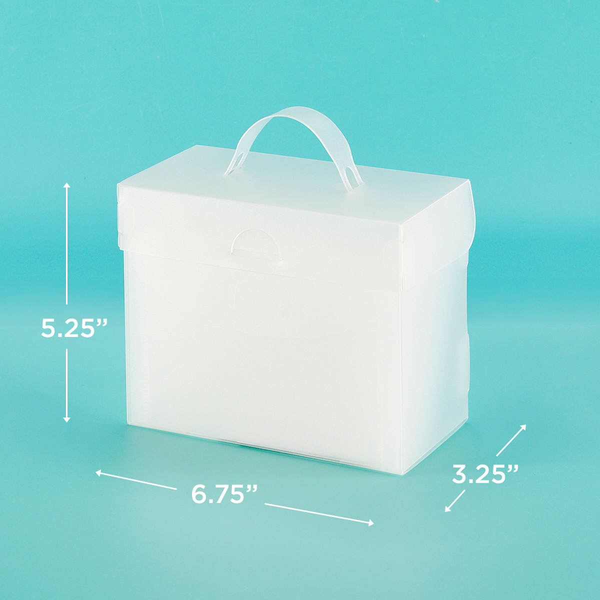 The Organized Option 4X6 File Master With 5 Pockets