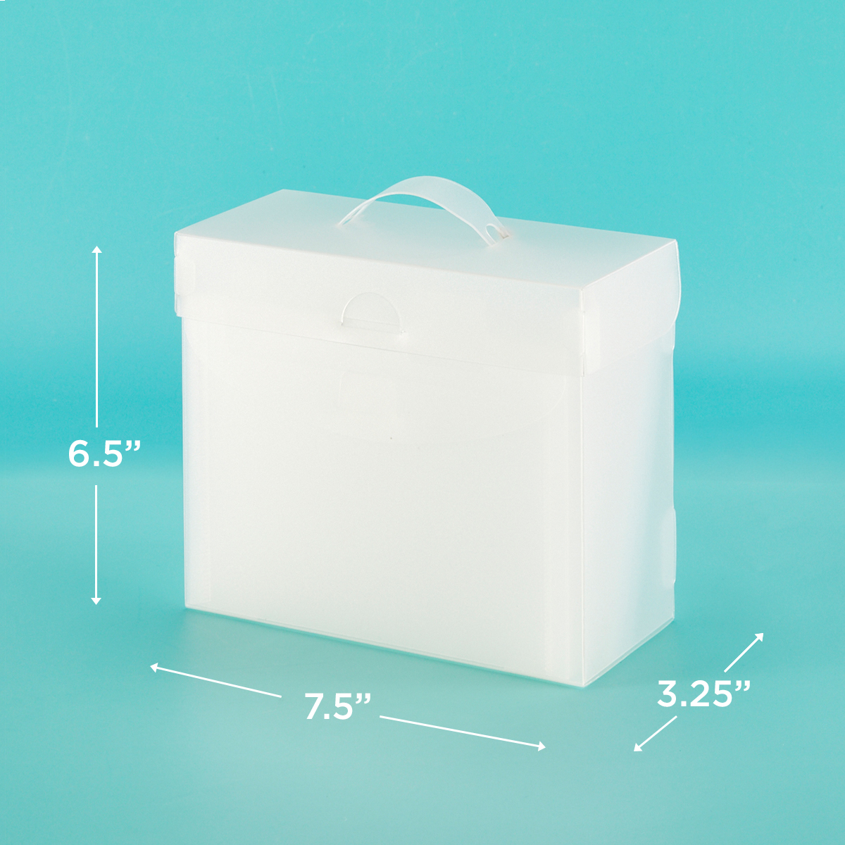 The Organized Option 5X7 File Master With 5 Pockets