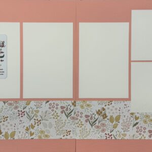 Carta Bella Silly Goose Collection Cut Up