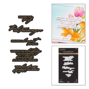 Spellbinders Bouquet of Hugs Sentiments Press + Foil Plate & Die Set By Yana Smakula