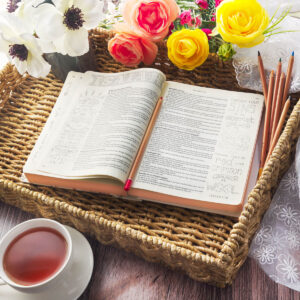 Cag KJV My Creative Bible White Floral Printed