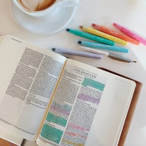 The Daily Grace Pastel Bible Highlighter Set