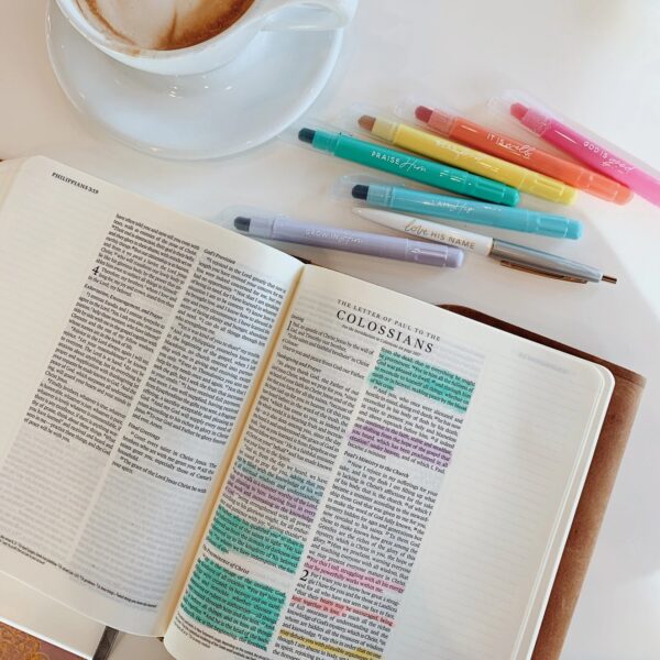The Daily Grace Pastel Bible Highlighter Set