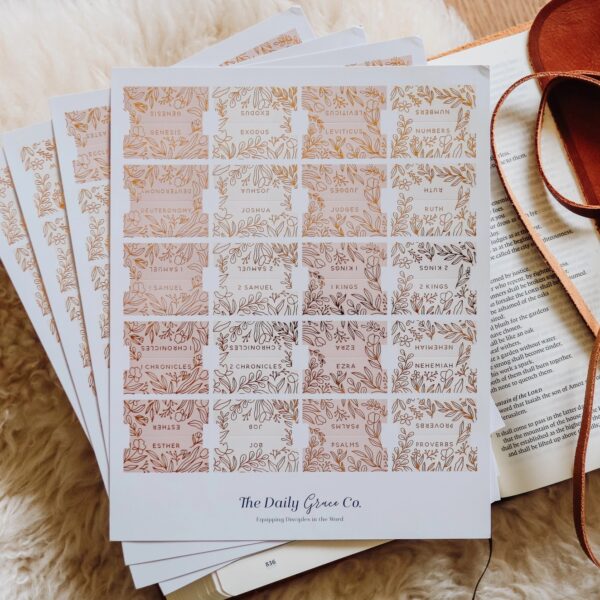 The Daily Grace Gold Foil Bible Tabs - Dusty Pink