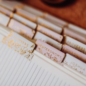 The Daily Grace Gold Foil Bible Tabs - Dusty Pink