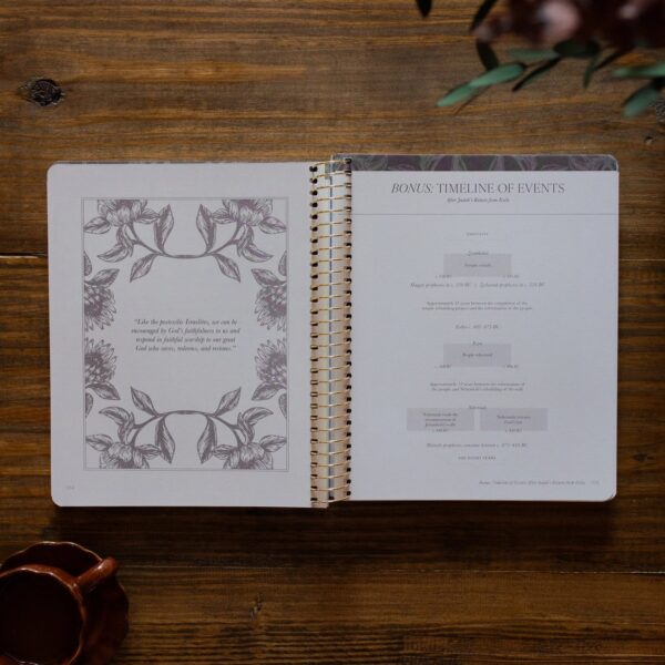 The Daily Grace A Year in the Bible|Volume 2 Bible Study