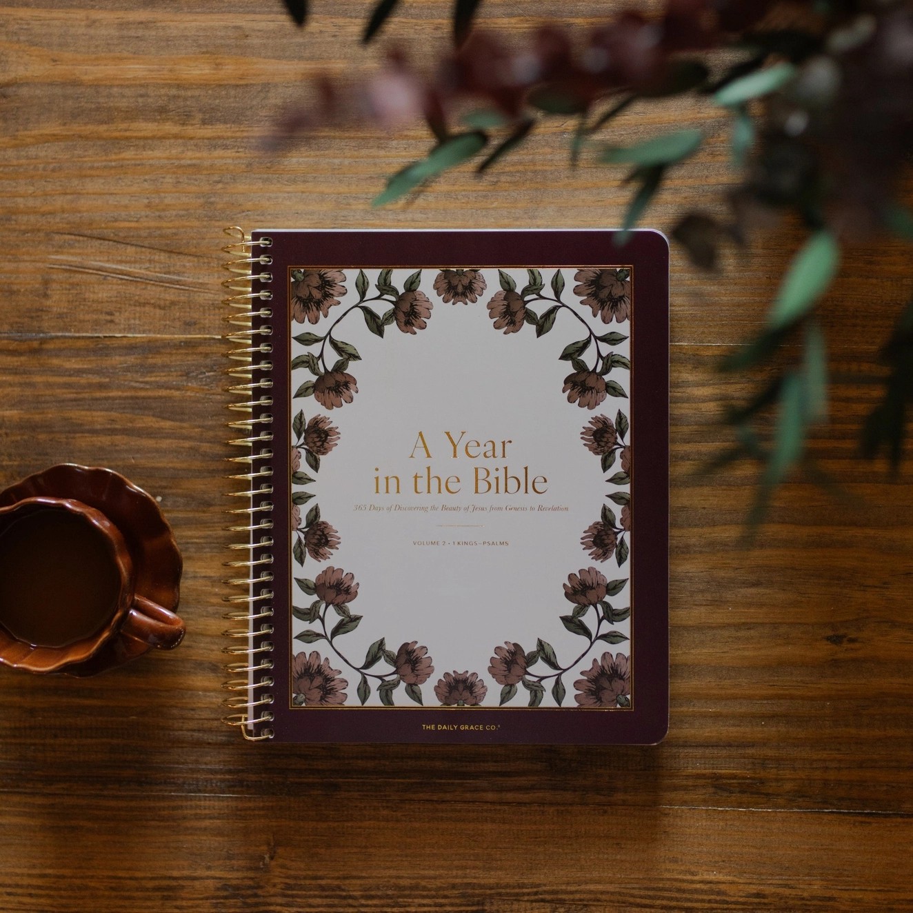 The Daily Grace A Year in the Bible|Volume 2 Bible Study