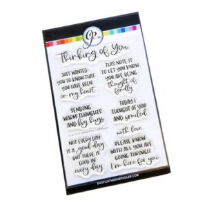 Catherine Pooler Stamp Inside Out Thinking of You