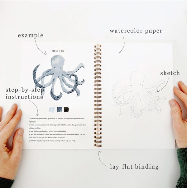 Emily Lex Watercolor Workbook Seaside