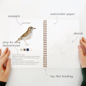 Emily Lex Watercolor Workbook Birds