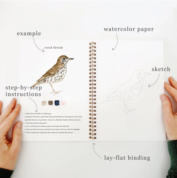 Emily Lex Watercolor Workbook Birds