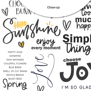 Pretty Little Studio Wildflower Die Cuts Chocolate Bunny Words