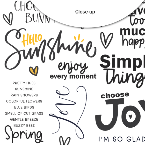 Pretty Little Studio Wildflower Die Cuts Chocolate Bunny Words