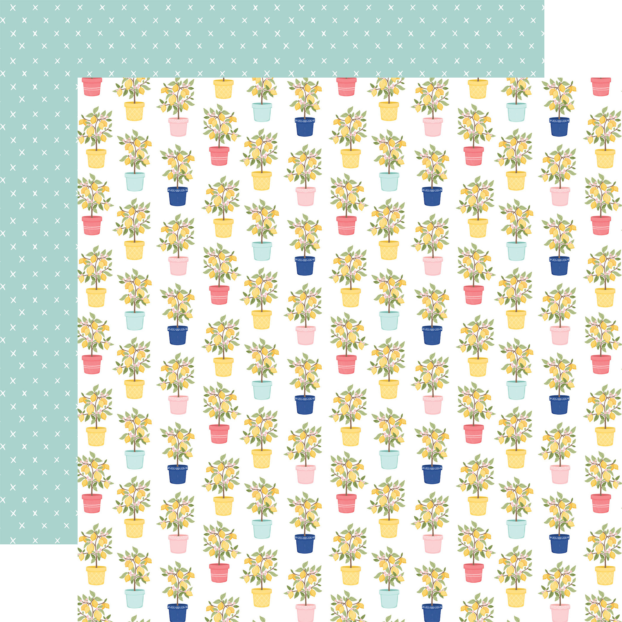 Carta Bella Lemonade 12X12 Lemon Trees