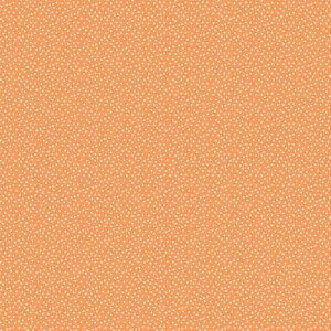 Echo Park Our Groovy Summer 12X12 Ice Cream Dream