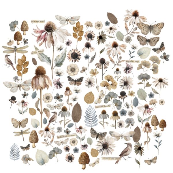 49 & Market Faded Memory Lane Wildflower Laser Cuts