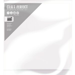 TONIC CRAFT PERFECT SATIN MIRROR FROSTED SILVER