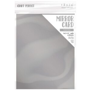 TONIC CRAFT PERFECT SATIN MIRROR FROSTED SILVER