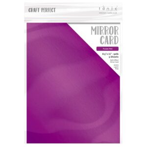 TONIC CRAFT PERFECT SATIN MIRROR PURPLE MIST