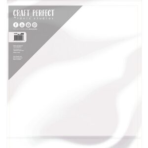 TONIC CRAFT PERFECT SATIN MIRROR SILKY SKY