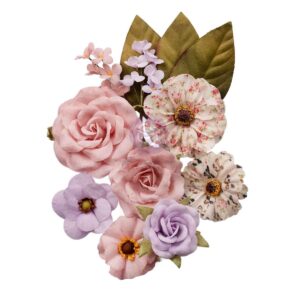 Prima Sweet Spring Lovely Garden Flower
