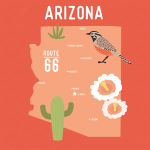 Ep Our United States 12X12 Arizona