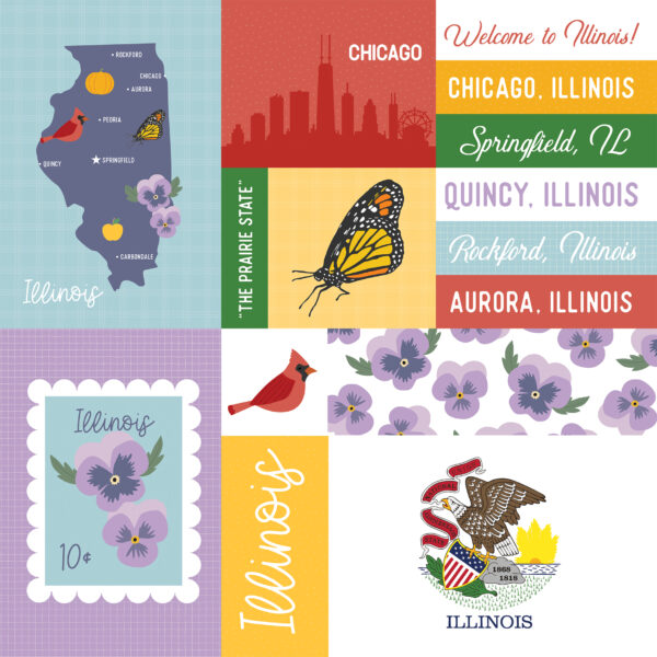 Ep Our United States 12X12 Illinois