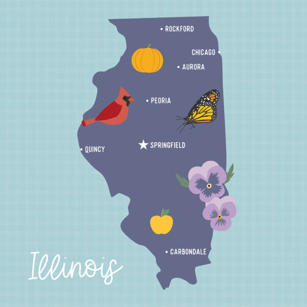 Ep Our United States 12X12 Illinois