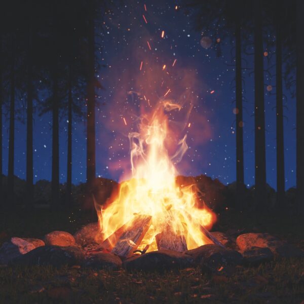 Rem Campfire Stories 12X12 Under the Stars