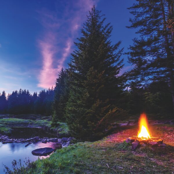Rem Campfire Stories 12X12 Campfire Stories Rem Campfire Stories 12X12 Campfire Stories