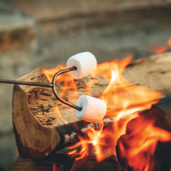 Rem Campfire Stories 12X12 S’Mores Delight Rem Campfire Stories 12X12 S'Mores Delight