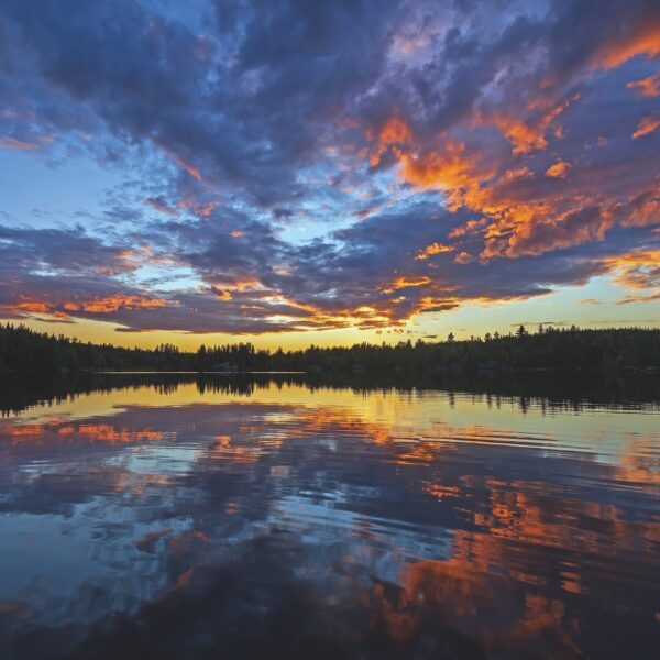 Rem Northern Lake Adventures 12X12 Red Canoe