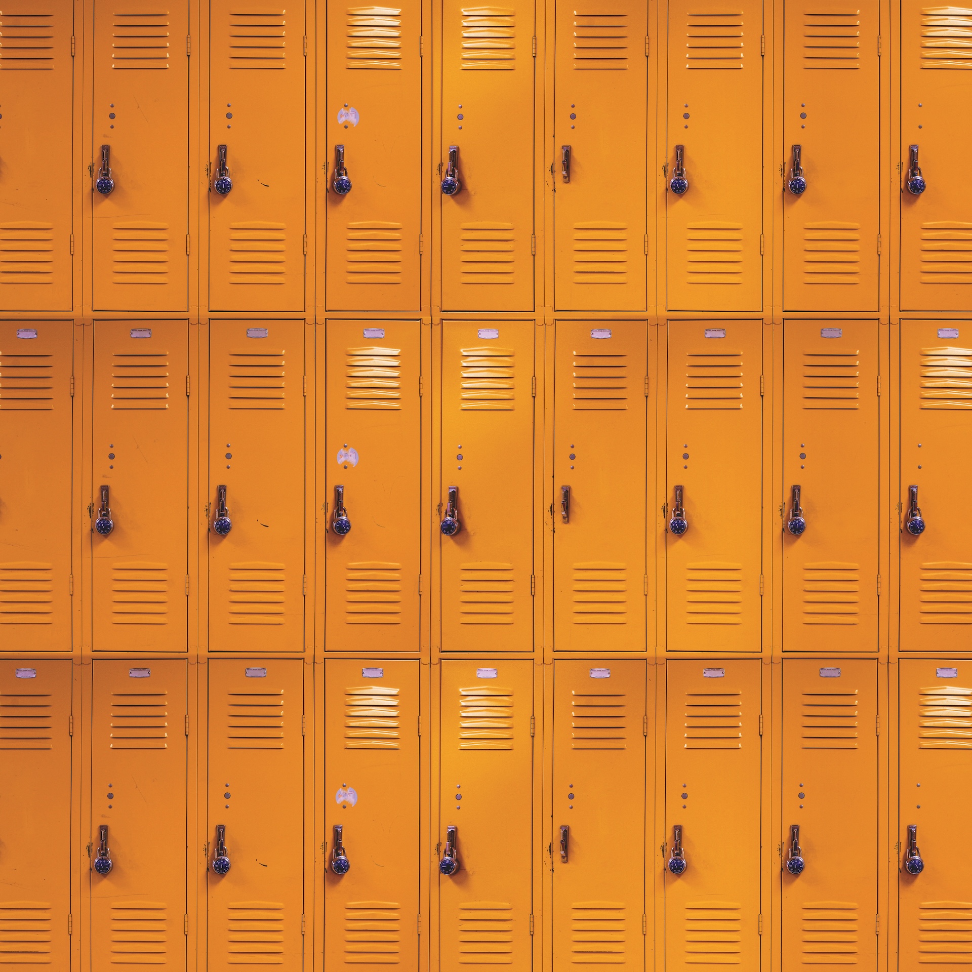 Rem the School Years 12X12 Lockers