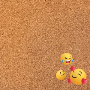 Rem the School Years 12X12 Emotinal Emojies
