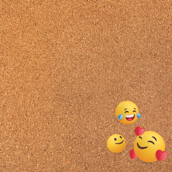 Rem the School Years 12X12 Emotinal Emojies