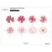 Altenew Die Craft A Flower Coral Charm Peony