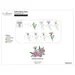 Altenew Die Craft A Flower Asters