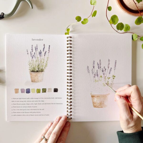 Emily Lex Watercolor Workbook Garden
