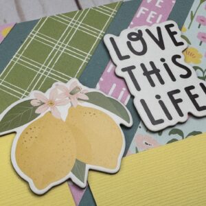 Simple Stories Pink Lemonade*