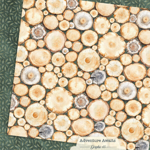 Graphic 45 Adventure Awaits 12X12 Tree Rings