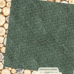 Graphic 45 Adventure Awaits 12X12 Tree Rings